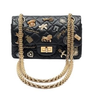 Chanel Reissue 2.55 Lucky Charms Flap Bag Gold Hardware